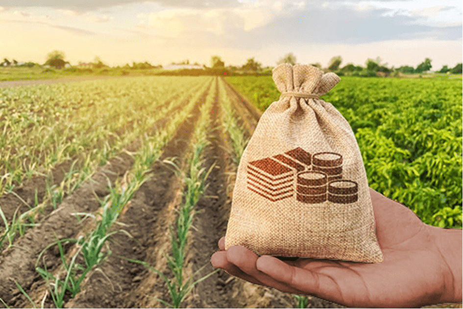 What funding options are available for African small-scale farming?