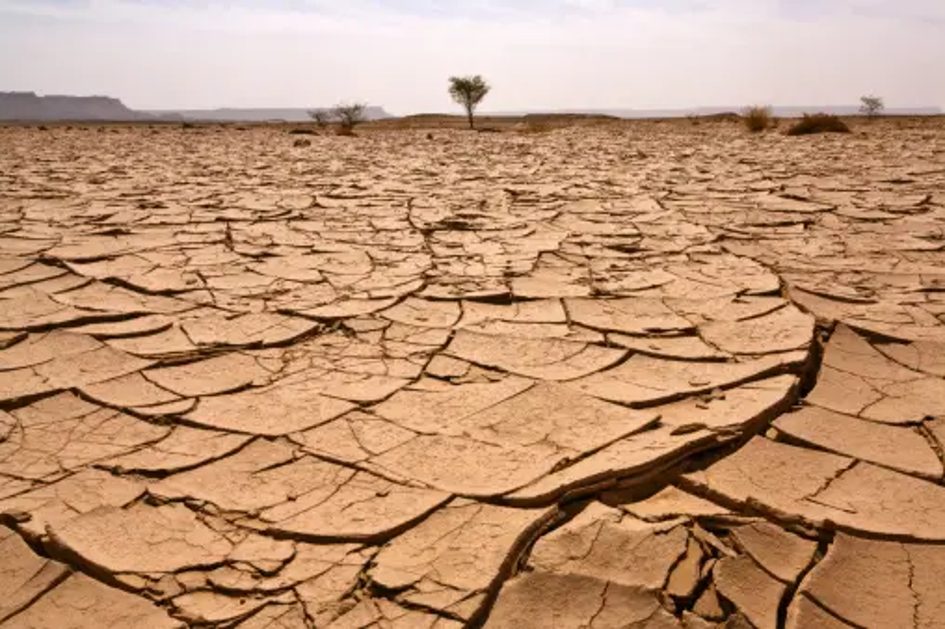 Quelle stratégie de la région MENA face au stress hydrique