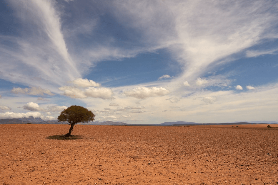 Climate Change Affects Soils More Abruptly Than the Atmosphere