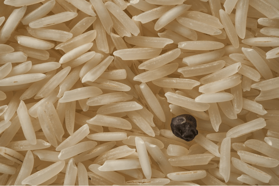 Le riz, toujours plus cher, toujours plus rare