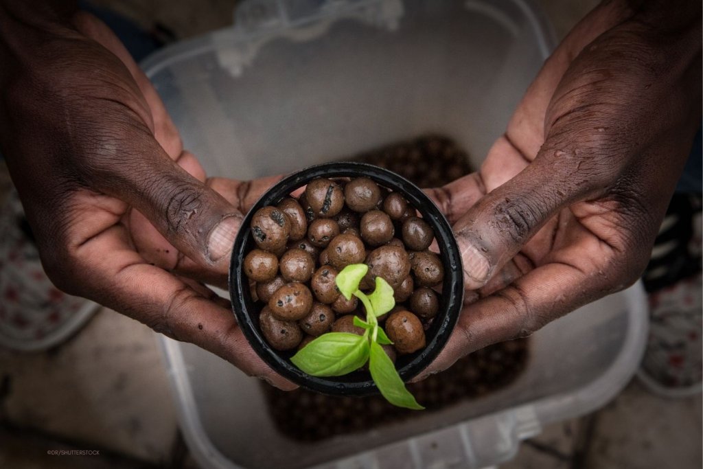 Food Security and Sovereignty in Africa