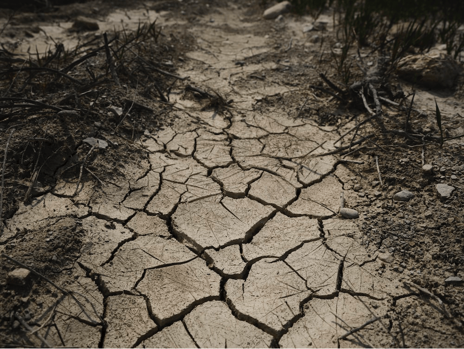 Limiting the Impact of Natural Disasters on Agriculture