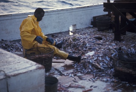 L’Afrique en quête de souveraineté halieutique