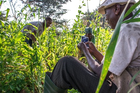 The ECOWAS Bank for Investment and Development supports agricultural development in West Africa.