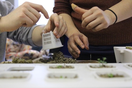 An electronic soil for hydroponics