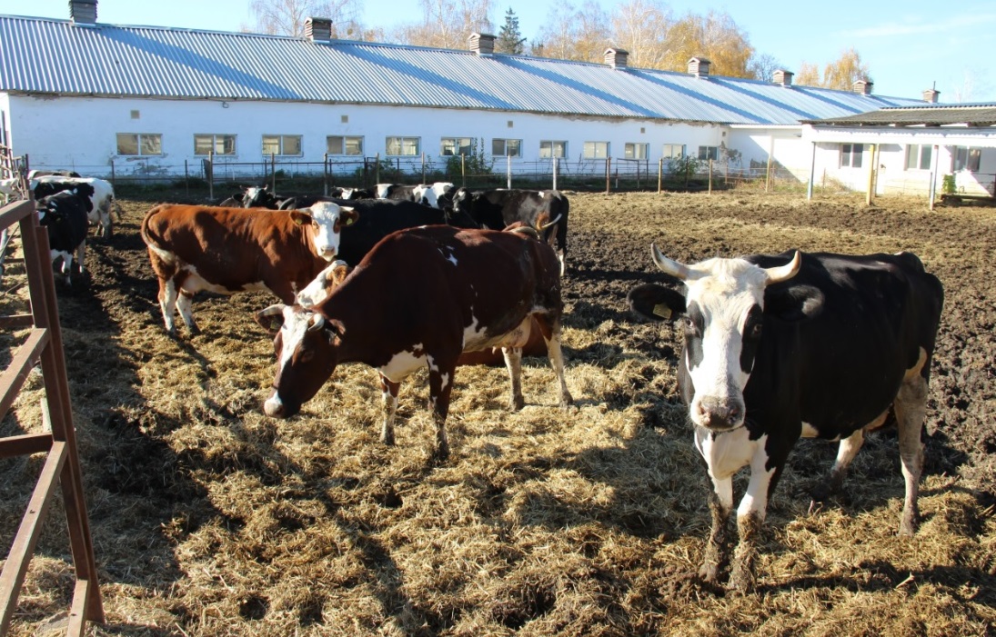 Comment l’agriculture ukrainienne a résisté à deux ans de guerre - Partie 2