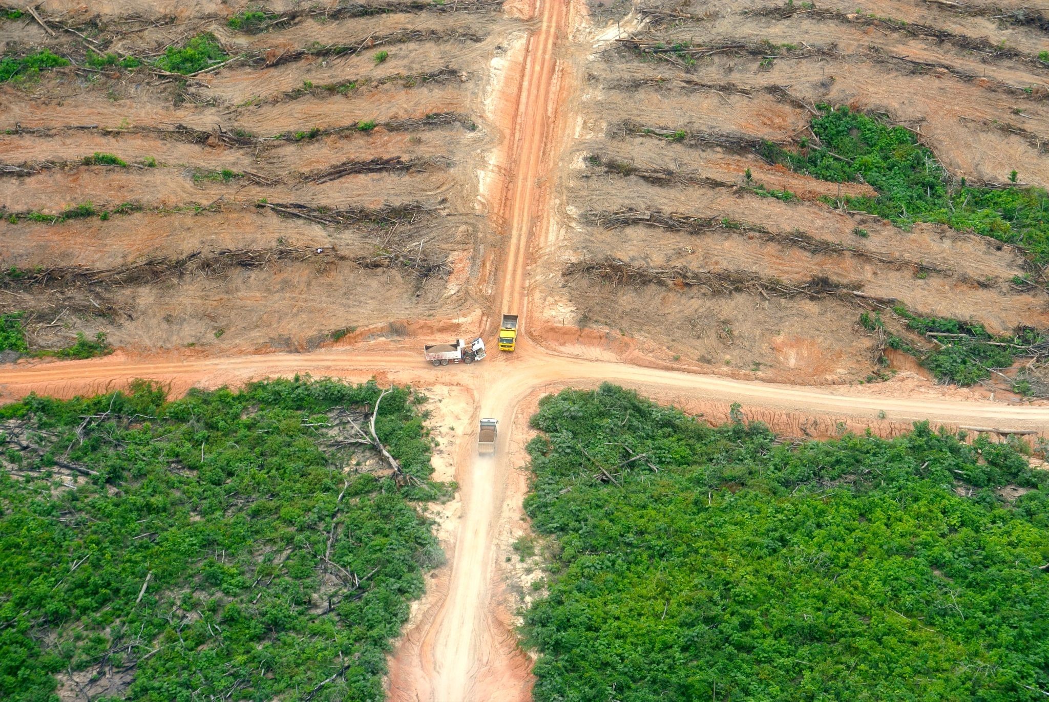 Mapping of Deforested Lands in Africa