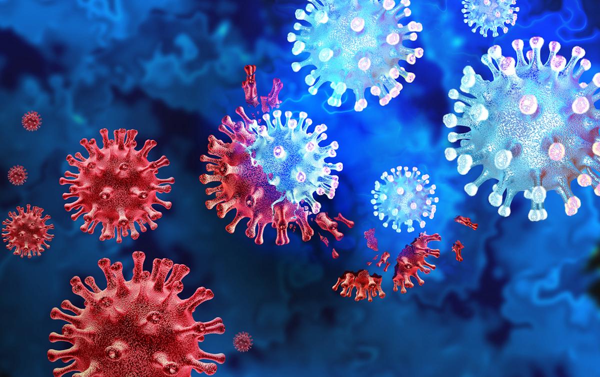 L’OMS s’alarme du potentiel de mutation du virus H5N1 vers la transmission humaine