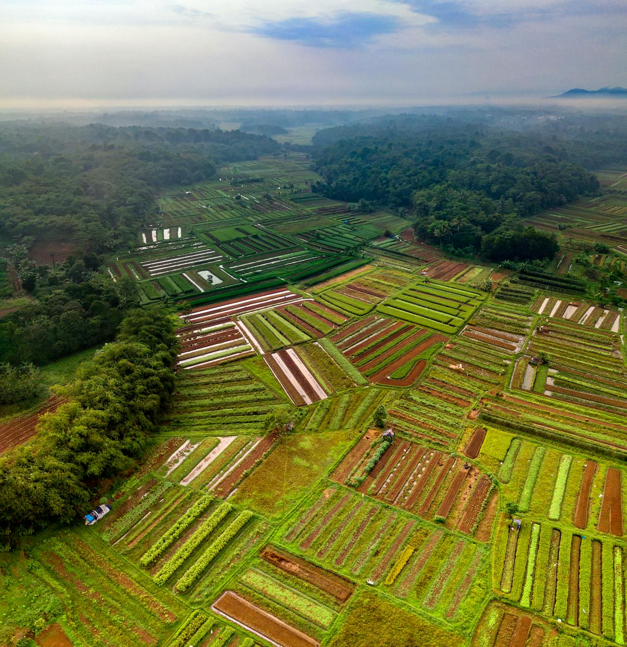 Dangerous Scarcity of Arable Land