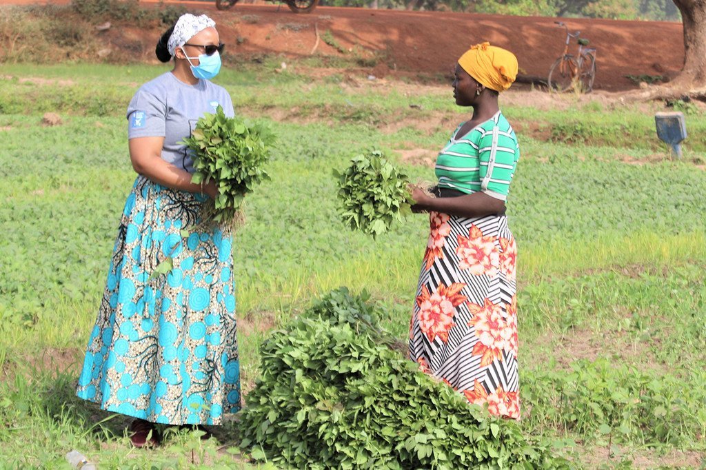 Agritourism in Africa, an Alternative Income Source for Rural Communities