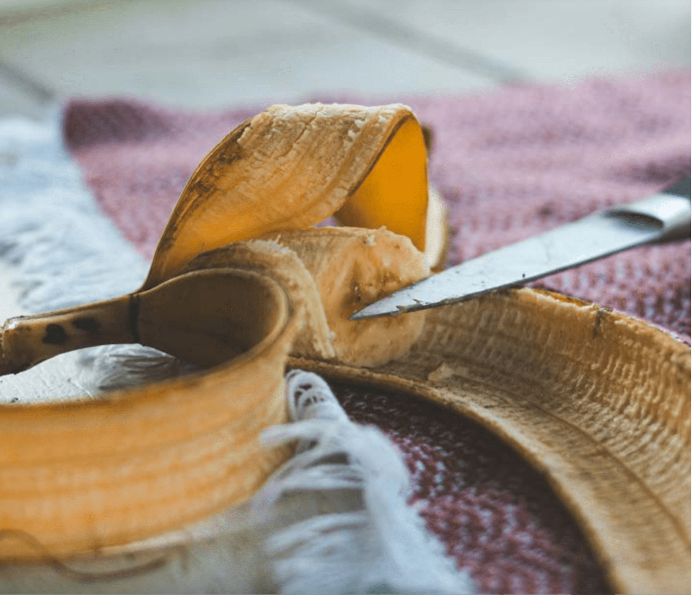 A Third of Global Food Production is Wasted