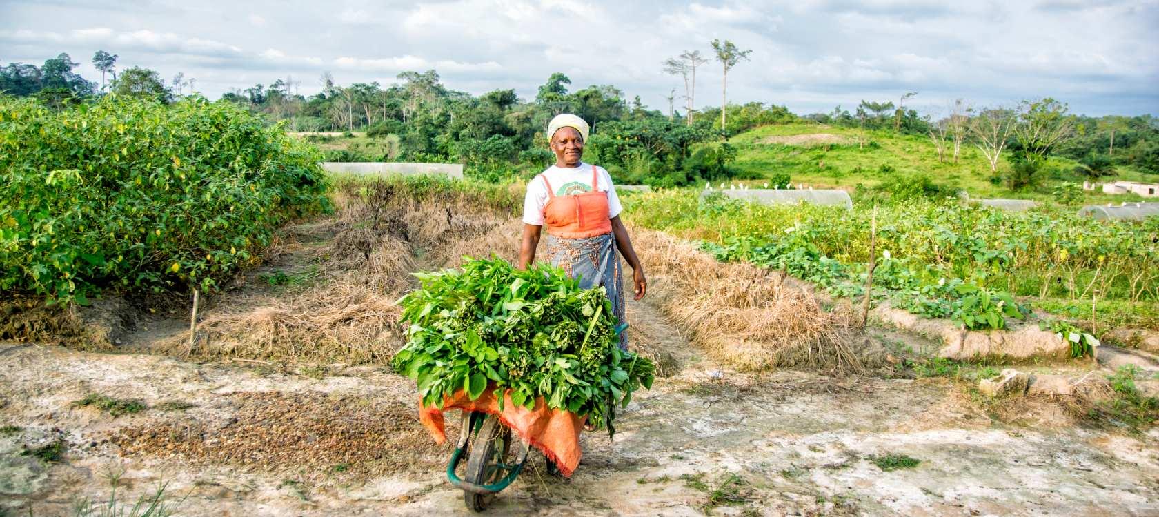 Comparative Analysis of Rural Development Strategies in Africa