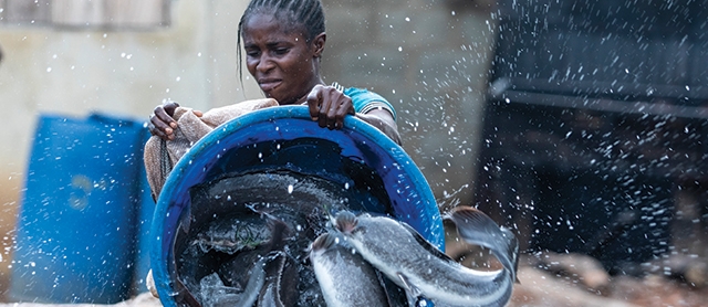 Development of African Aquaculture to Meet Protein Demand