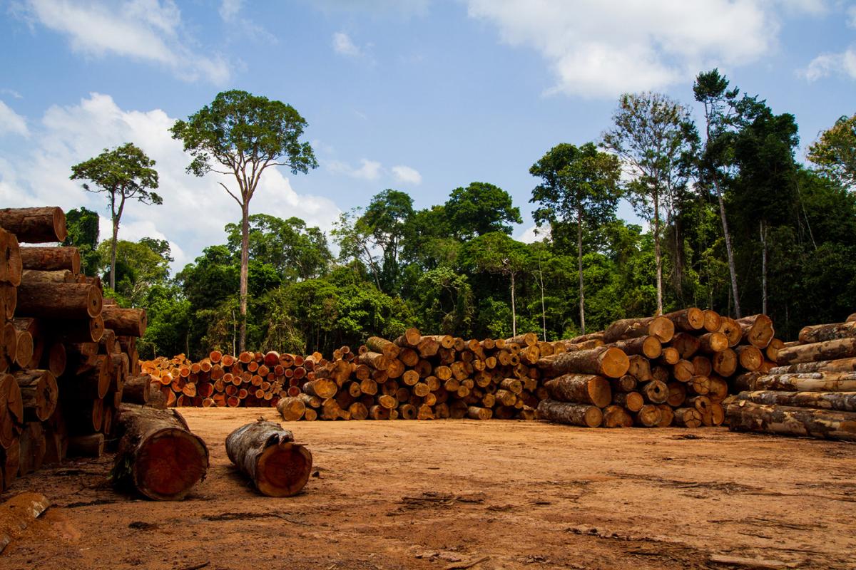 Sustainable Management of Natural Resources in Agricultural Areas in Africa