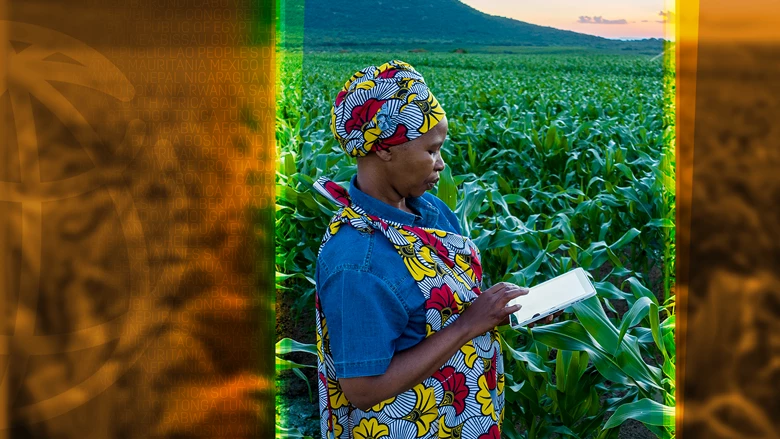 Ghana : digitalisation agricole et inclusion financière