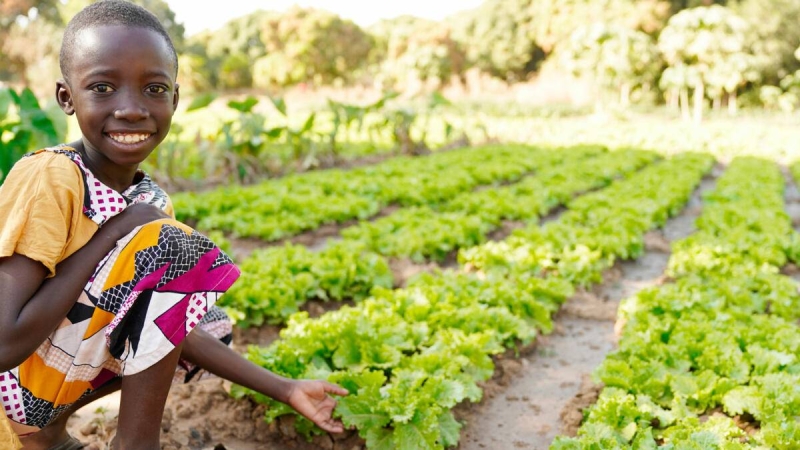 Togo to allocate 13 billion CFA francs in 2024 to food security