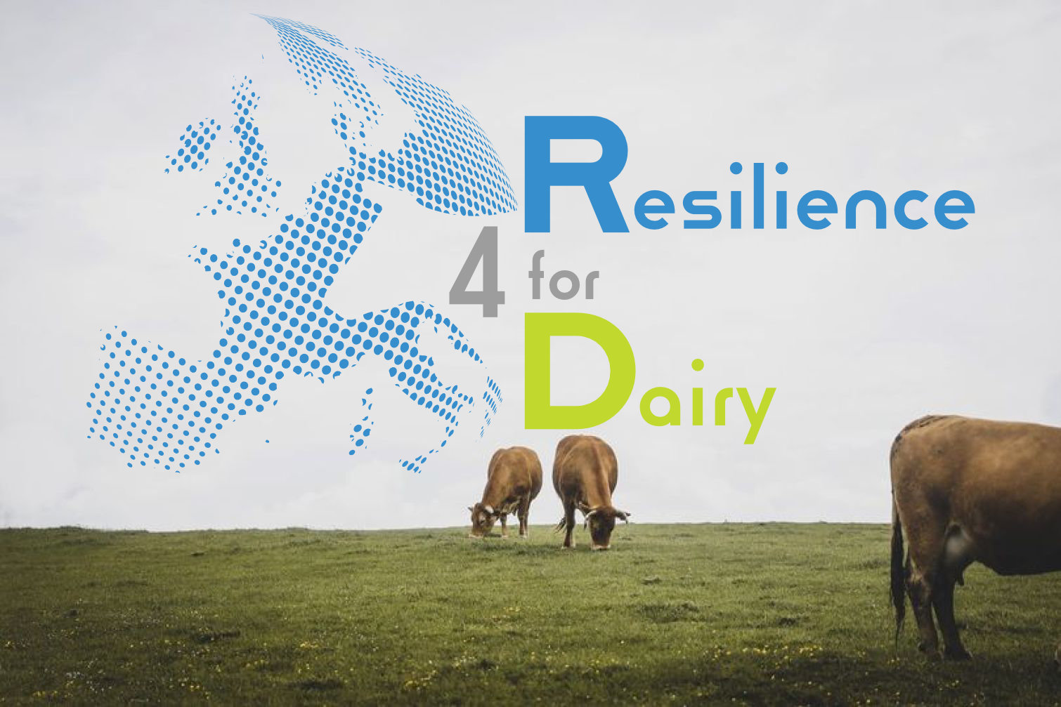 The Resilient European Farm According to the Resilience4Dairy Project