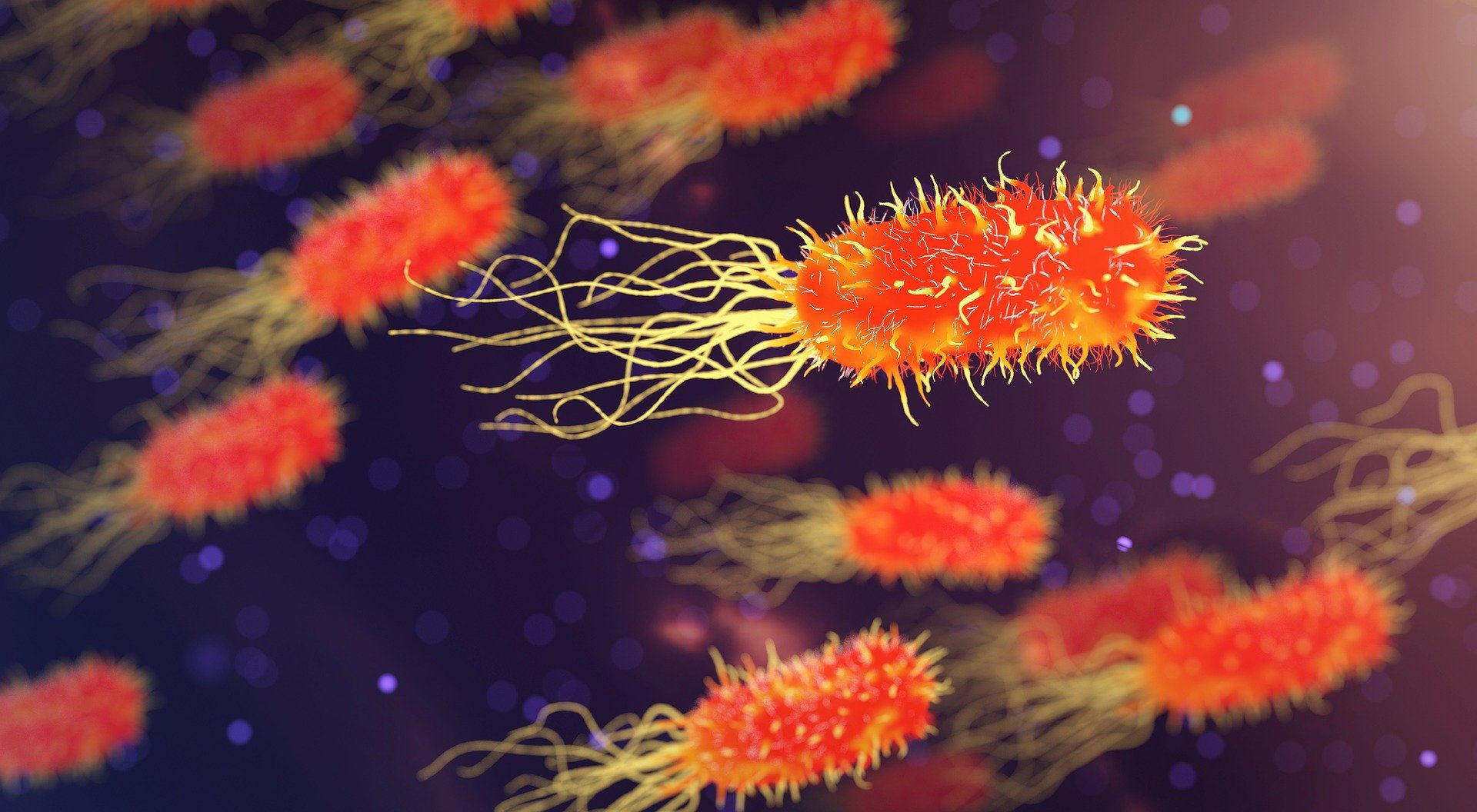 The Bacterial Battery Revolution