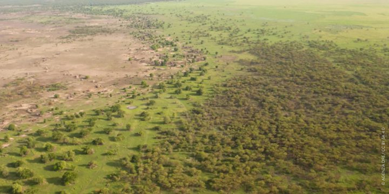 Understanding the Collapse of the Green Sahara