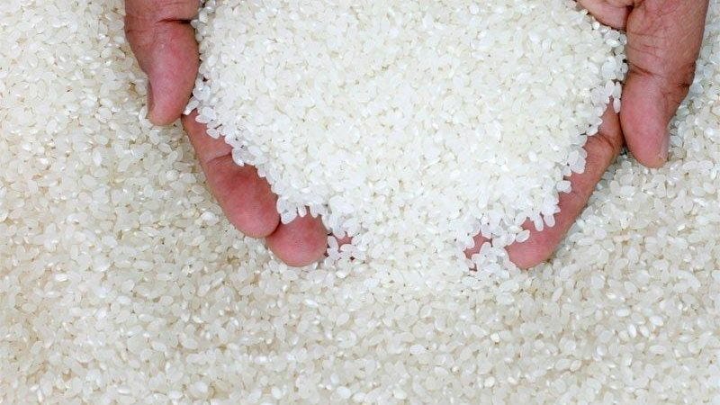 Drop of 11% in Africa's Rice Imports