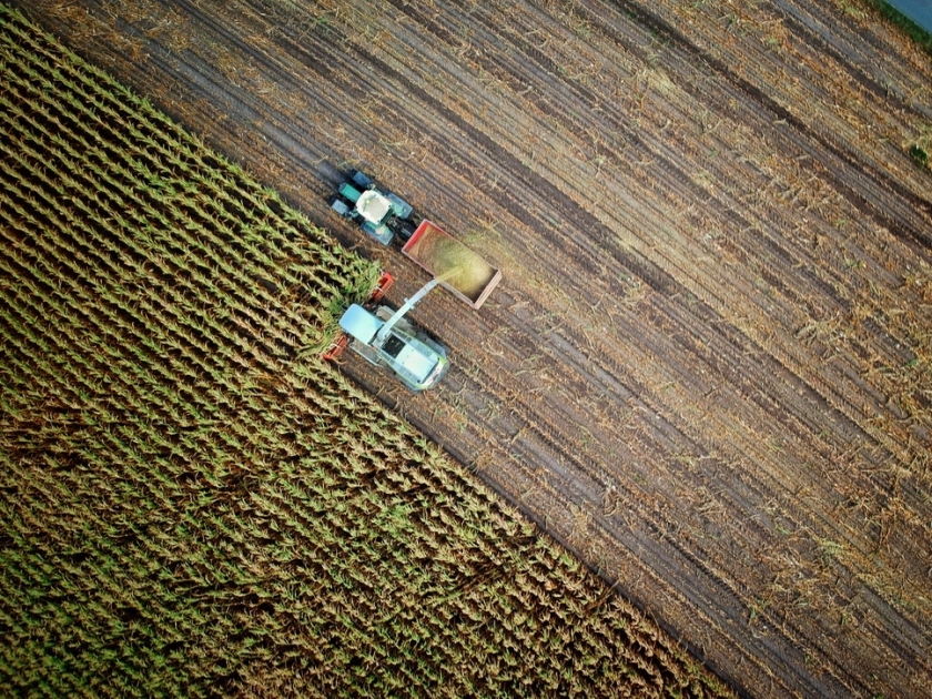 The Use of AI and Automation is Transforming Agriculture
