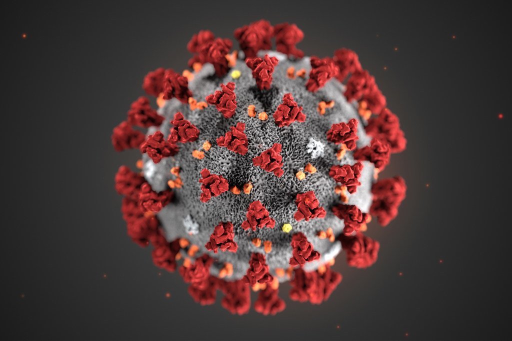 Increased risks of pandemics of animal origin