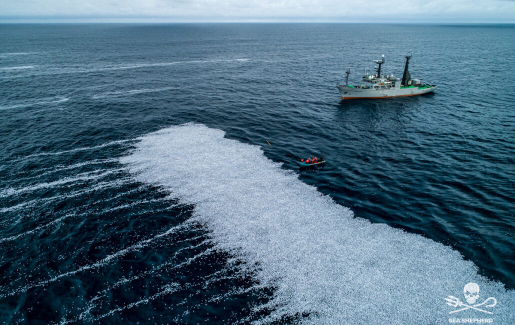 Sea Shepherd Denounces Unsustainable Aquaculture Practices in Norway