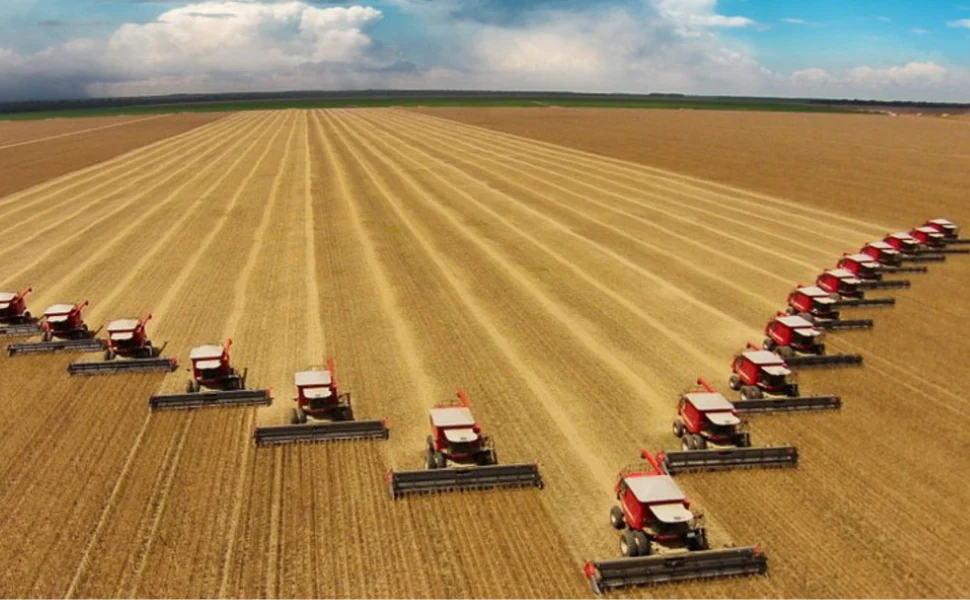 The dangers of intensive agriculture: increased risks of pandemics