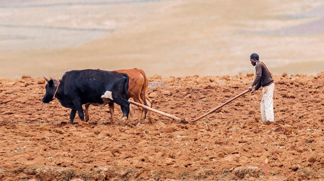 La FAO et le PAM s’alarment de l’aggravation de l’insécurité alimentaire