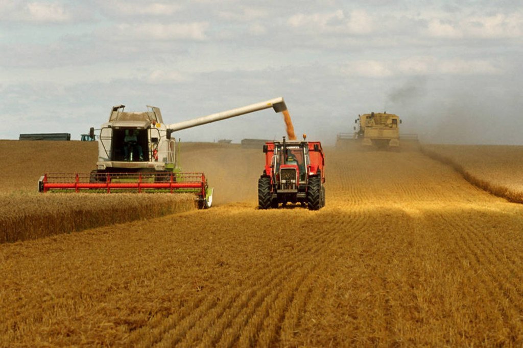 Optimistic Forecasts for Global Grain Stocks Despite Downward Revisions in Russia