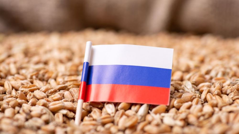 Wheat production increases in Russia