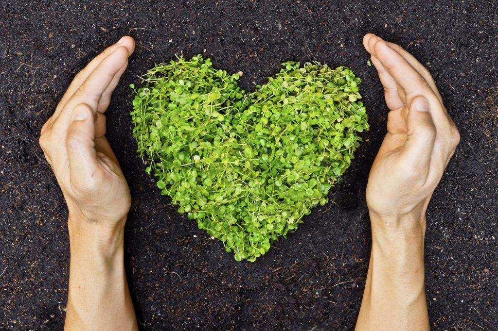 Part 2 : SOIL CONSERVATION