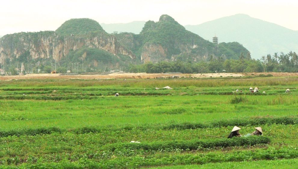 China: Towards self-sufficiency in soybeans