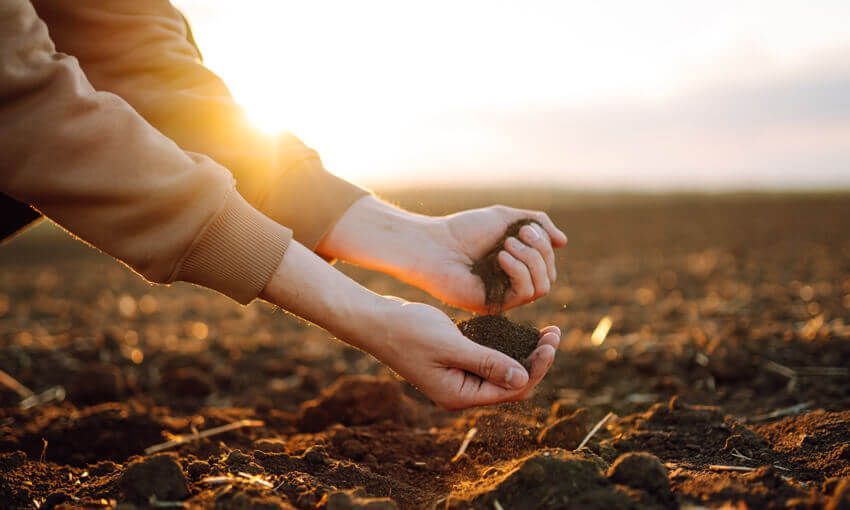 PART 1 : UN ECOLOGICAL APPROACH TO SOIL ANALYSIS