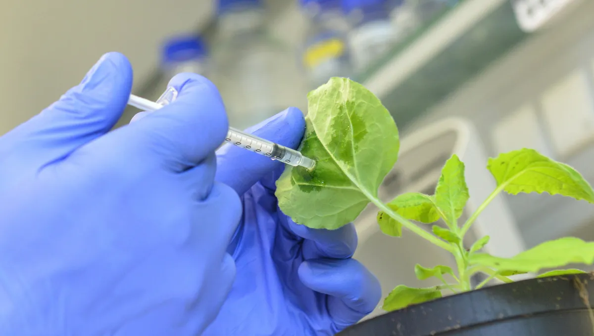 Will the "vaccination" of plants mean the end of pesticides?