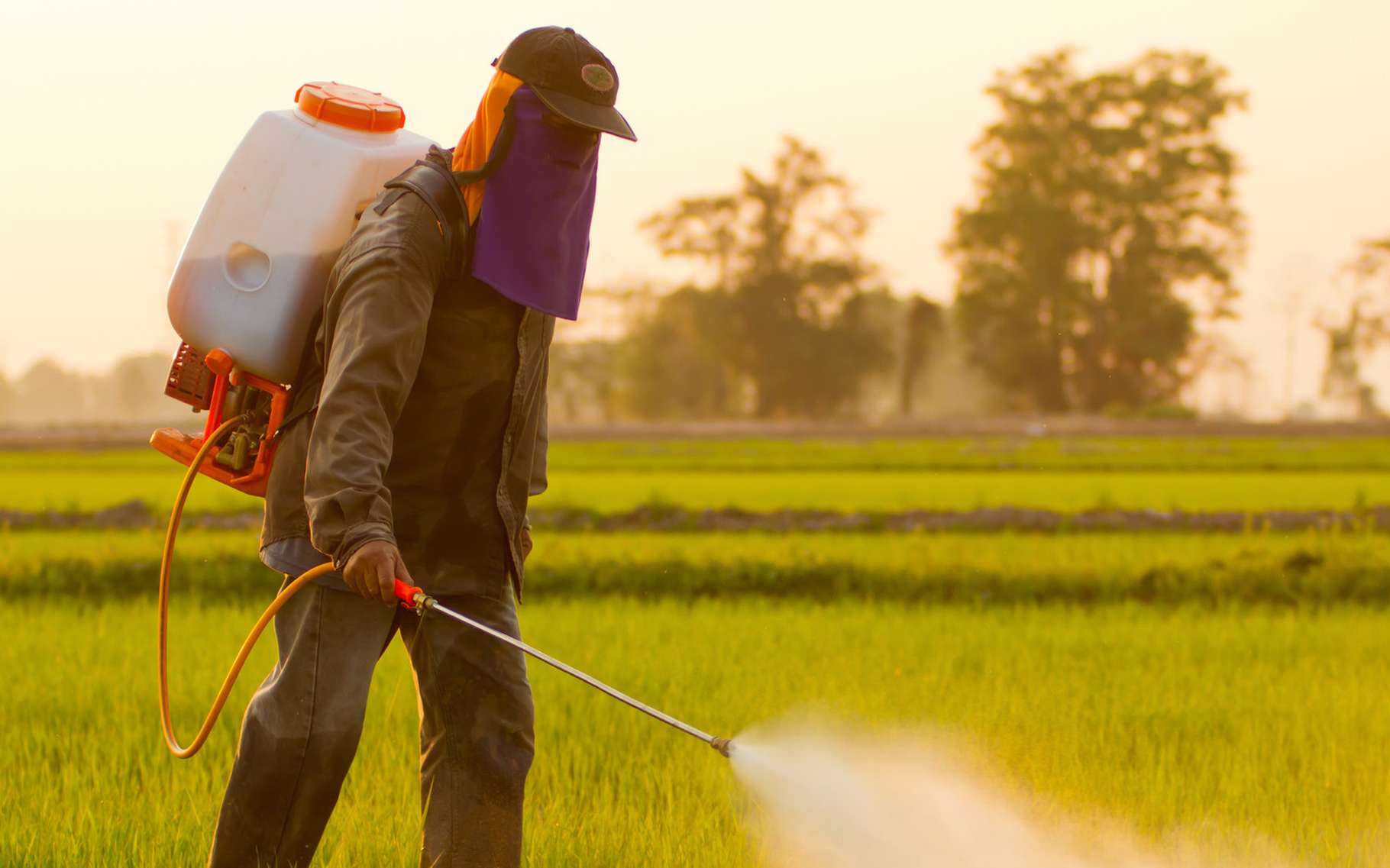 Les nouvelles réglementations sur les pesticides en Europe et leur impact sur les producteurs agricoles