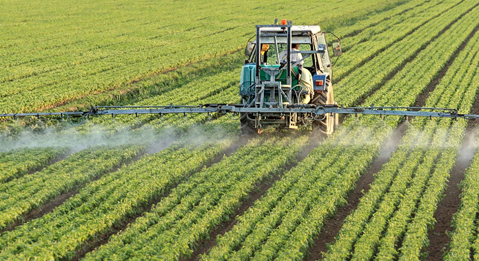 Les progrès des pratiques de l’agriculture durable en Amérique latine