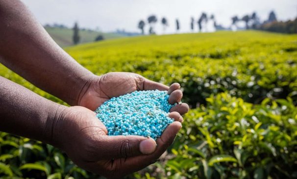 L'évolution du marché mondial des engrais en 2024