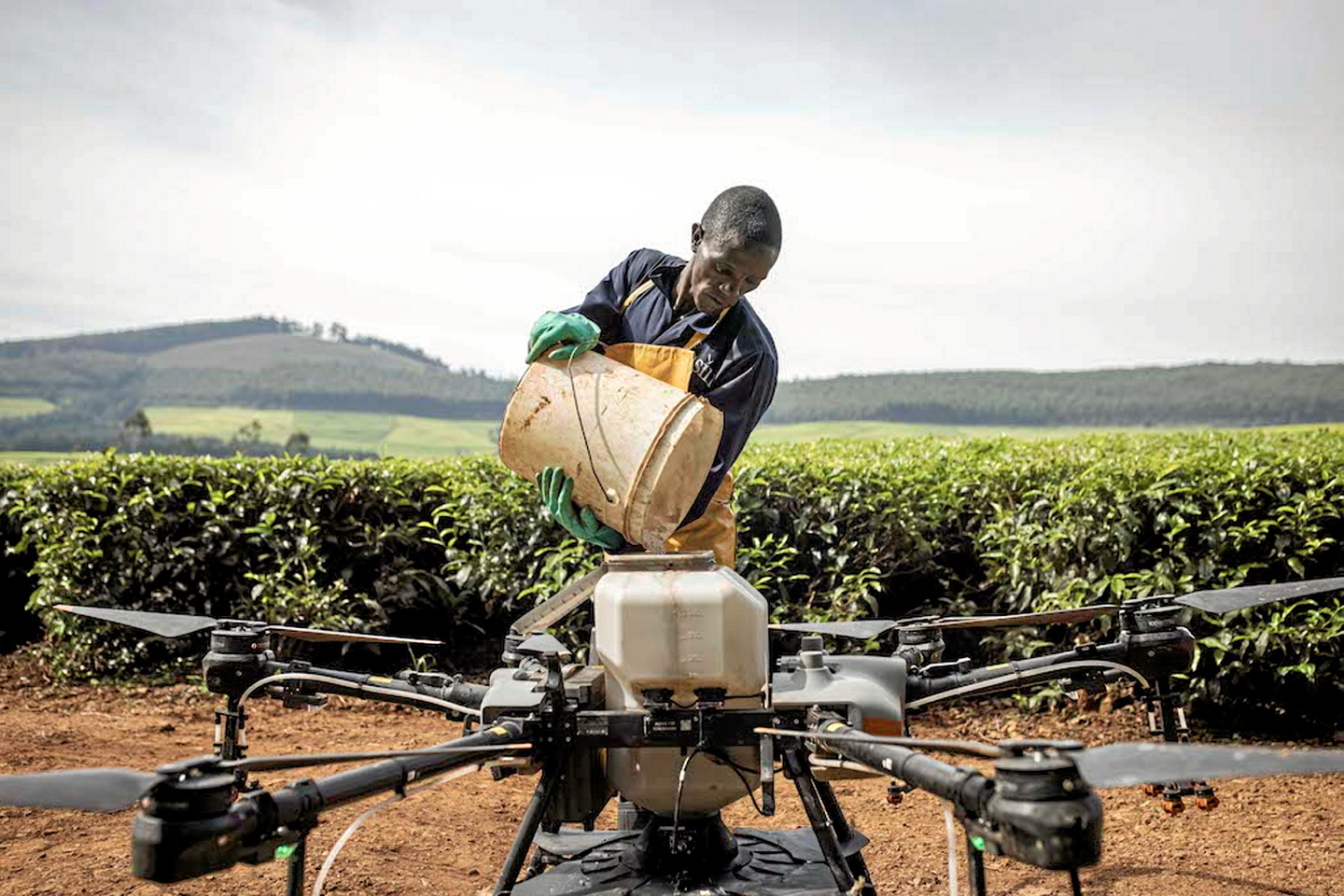 Montée en puissance des startups AgTech en Afrique