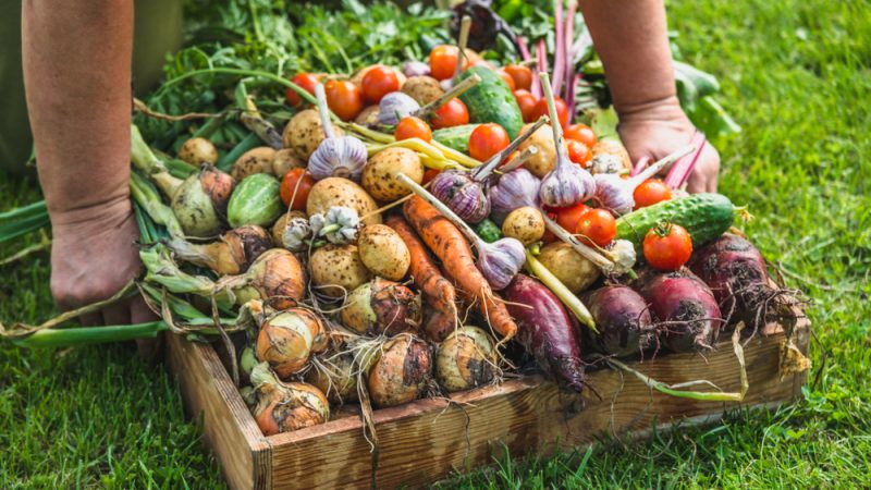 Germany: progress in organic and sustainable agriculture