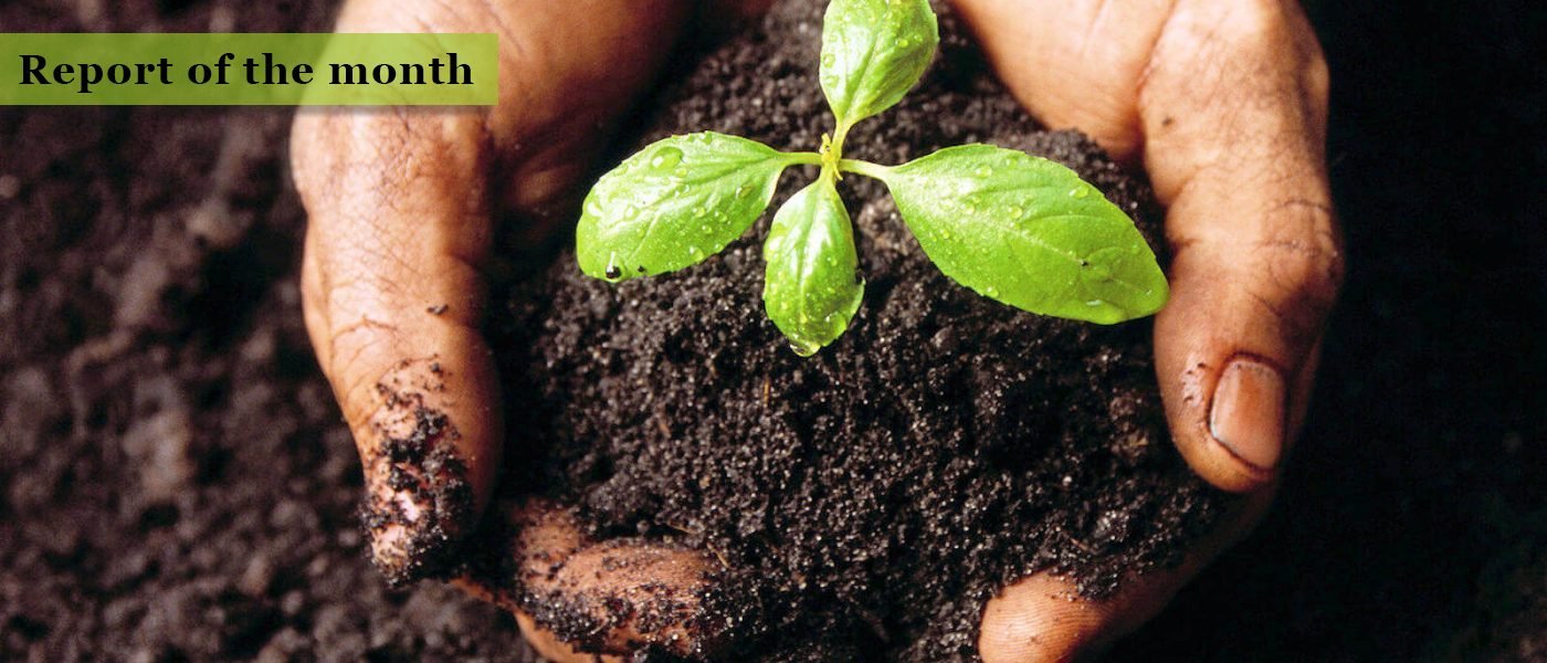 SOILS, A COMPLEX LIVING ECOSYSTEM