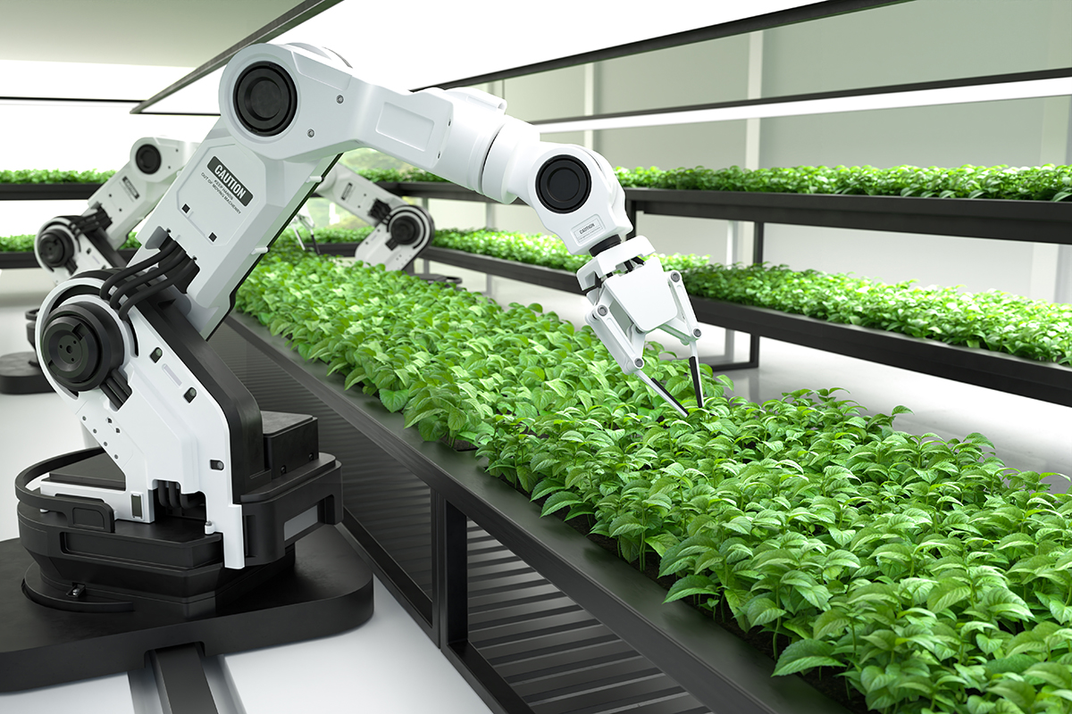 Robotisation de l’agriculture au Japon