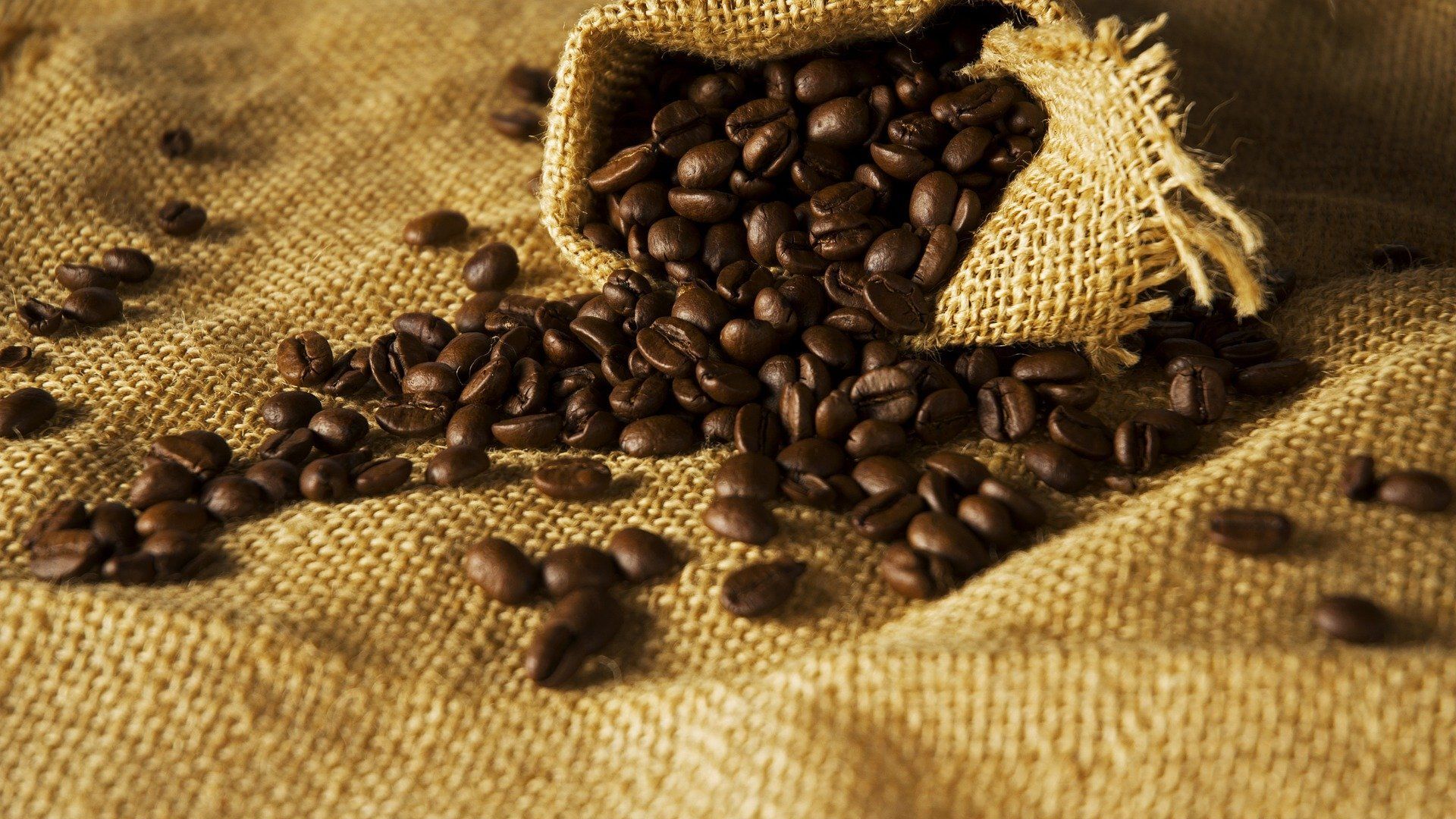 Augmentation des exportations africaines de café