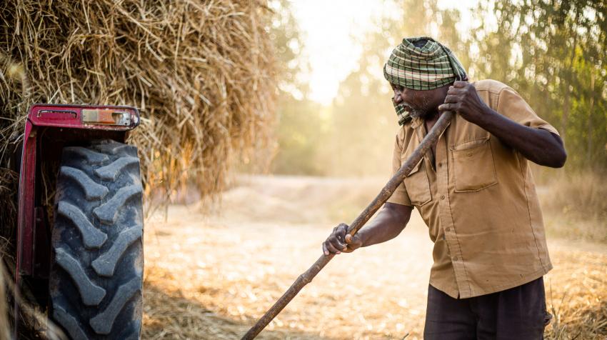Indian farmers are switching crops due to rising temperatures