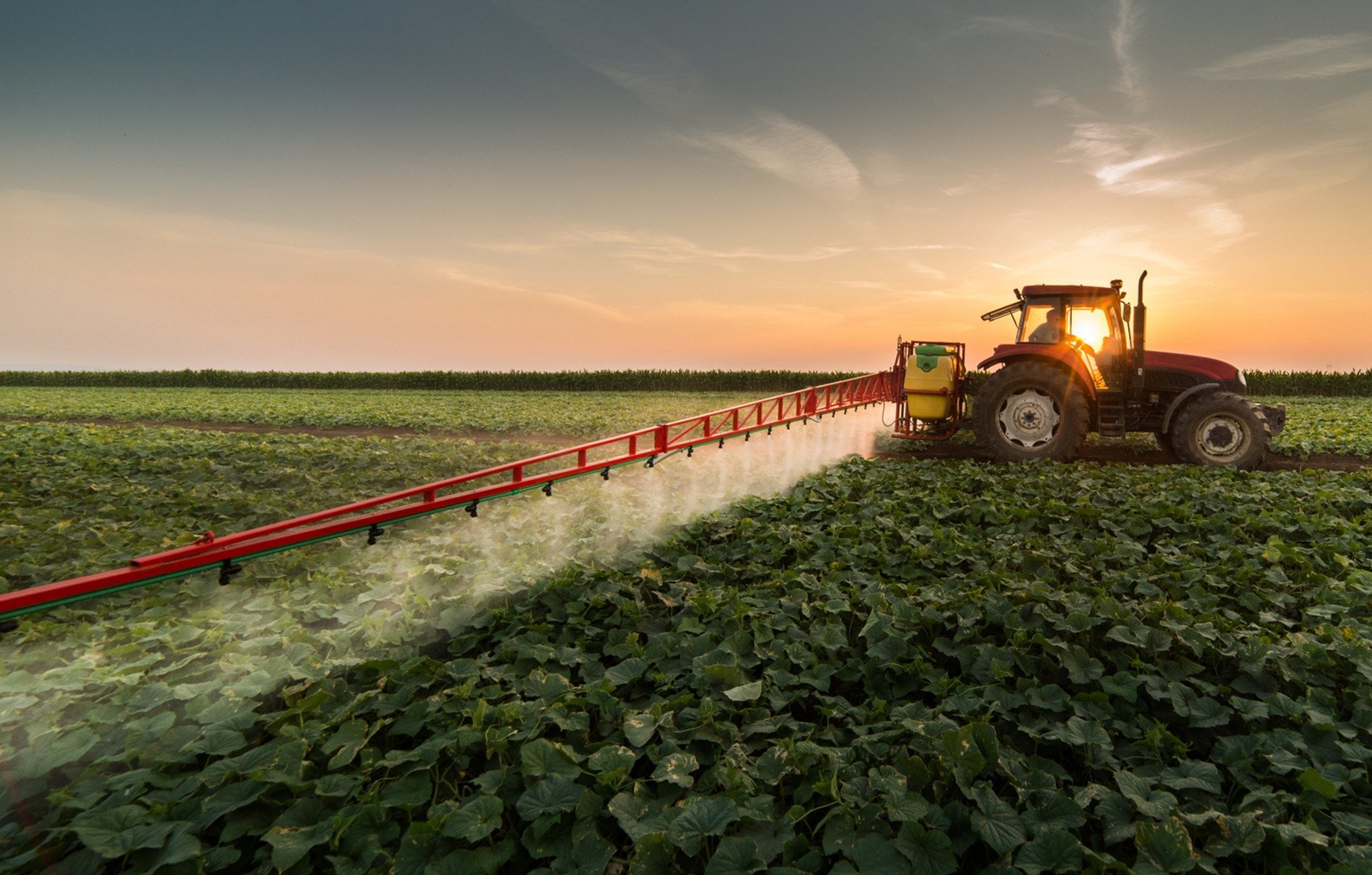 Biodiversity at risk: a challenge for agriculture in the United Kingdom.