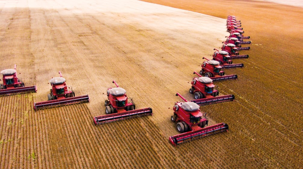 Brazil: Soybean exports increase despite environmental concerns
