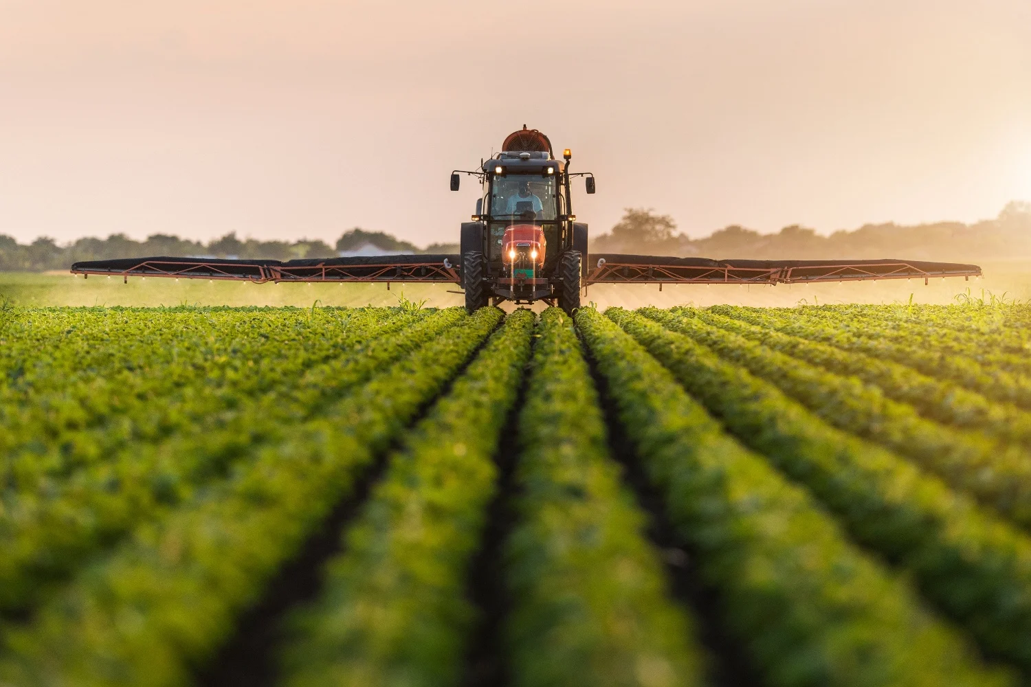 For a more profitable and sustainable agriculture in France