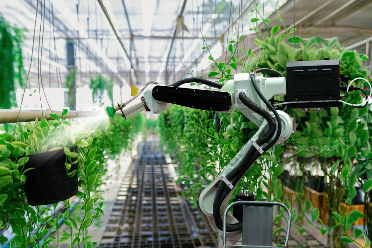 Smart agriculture in Germany