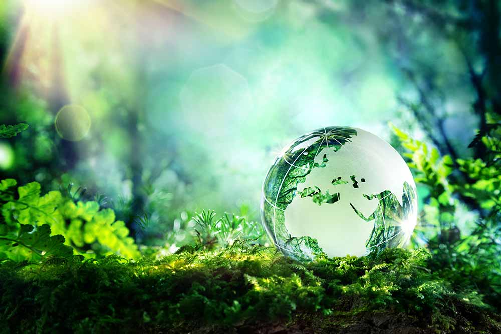 The Swiss model for combining productivity and environmental preservation