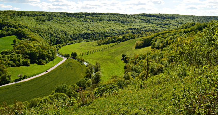 Concilier expansion agricole, climat et biodiversité au Brésil